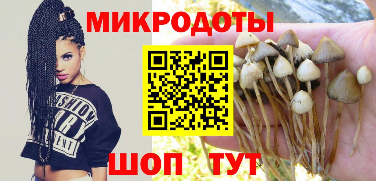 Псилоцибиновые грибы Psilocybe  Вход с VPN  Псилоцибиновые грибы GOLDEN TEACHER  Биробиджан 